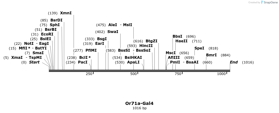 109059_map