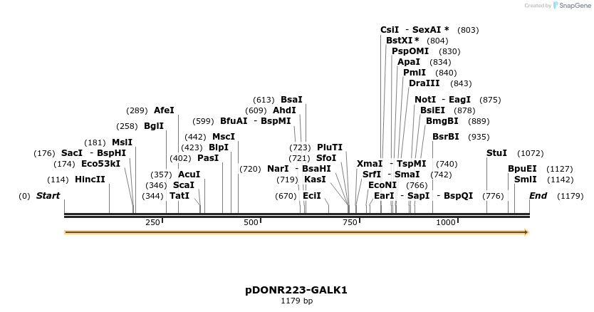 10906_map