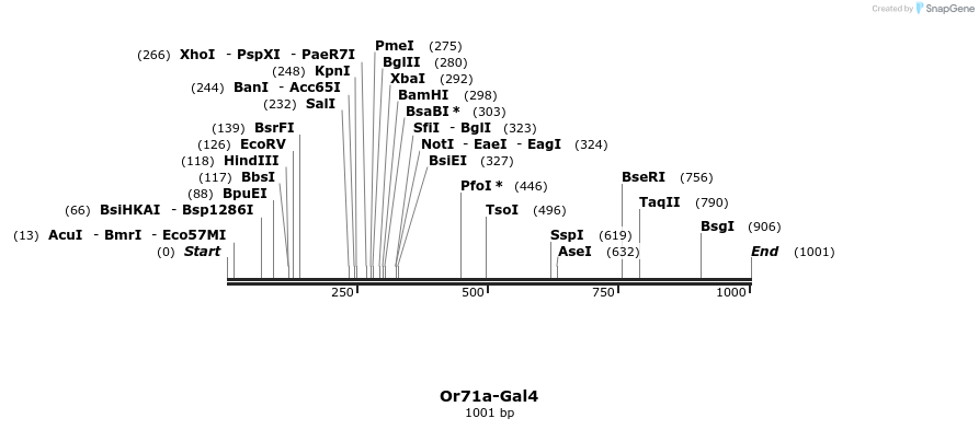109060_map