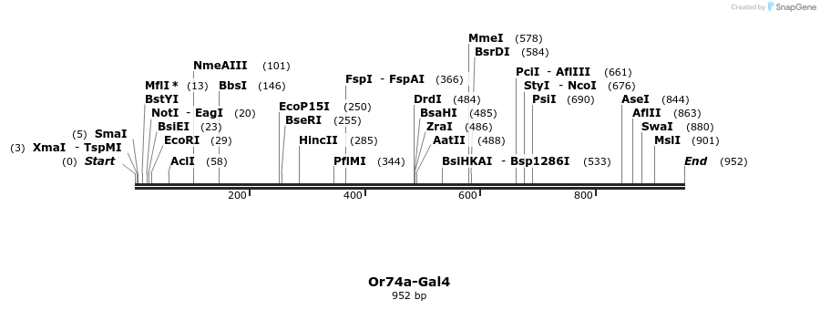 109062_map