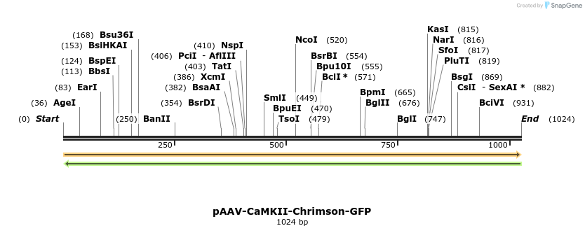 109067_map