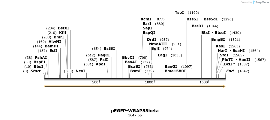 109075_map