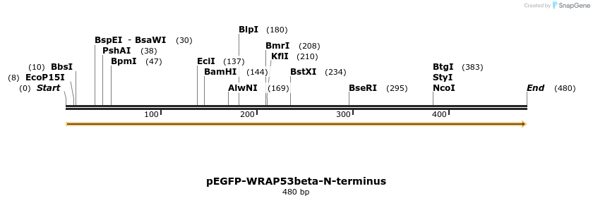 109077_map