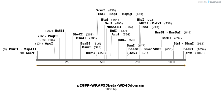 109078_map
