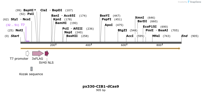 109082_map