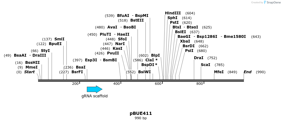 109083_map