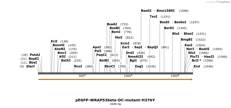 109084_map