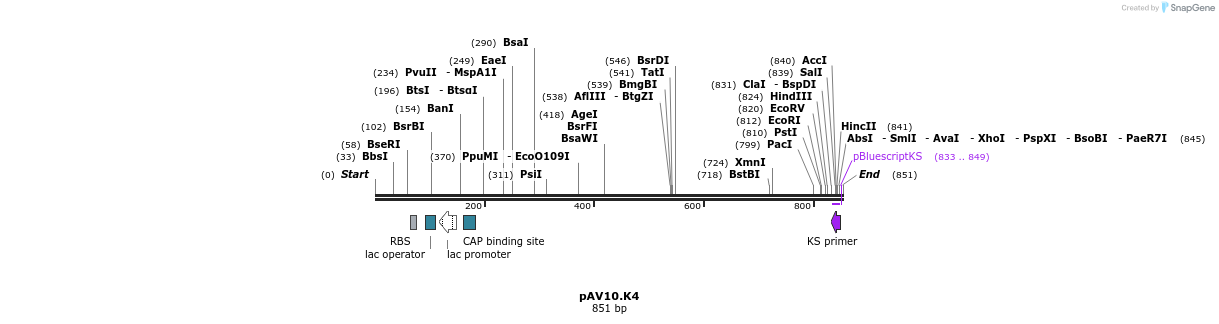 109090_map