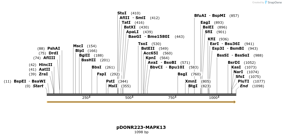 10910_map