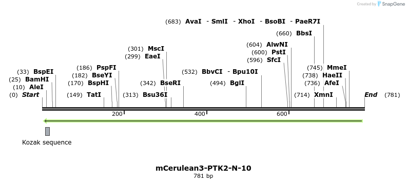 109116_map