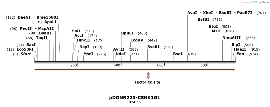 10912_map