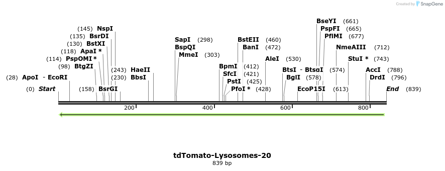 109121_map