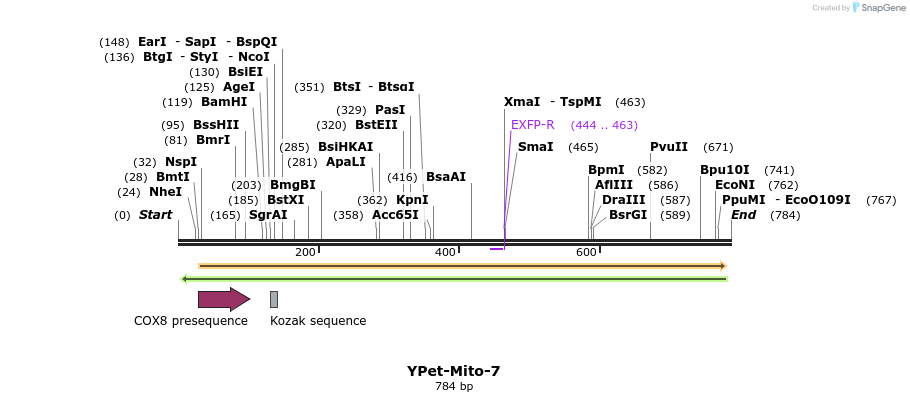 109123_map