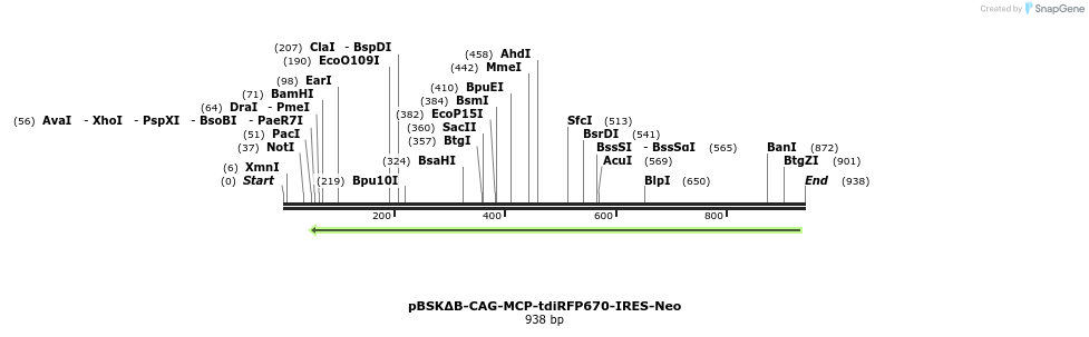 109128_map