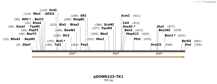 10913_map
