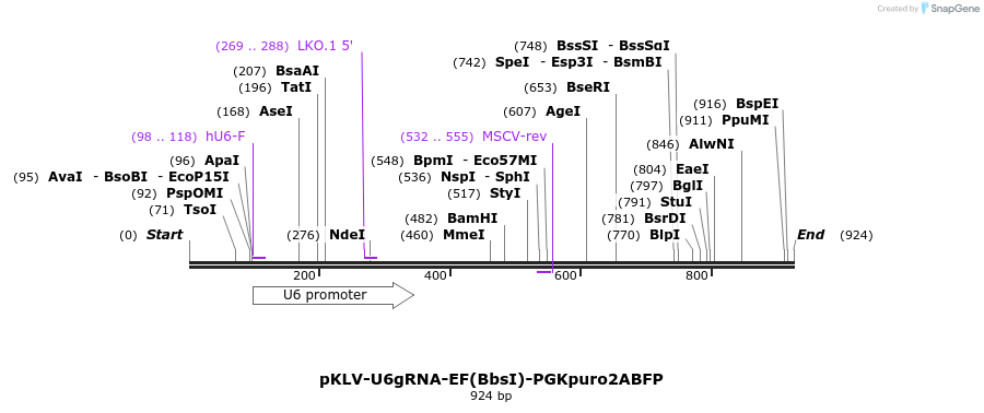 109137_map