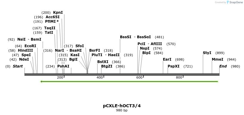 109142_map