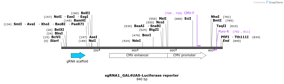 109144_map