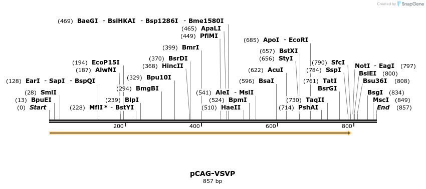 109149_map