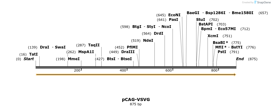 109152_map