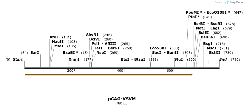 109153_map