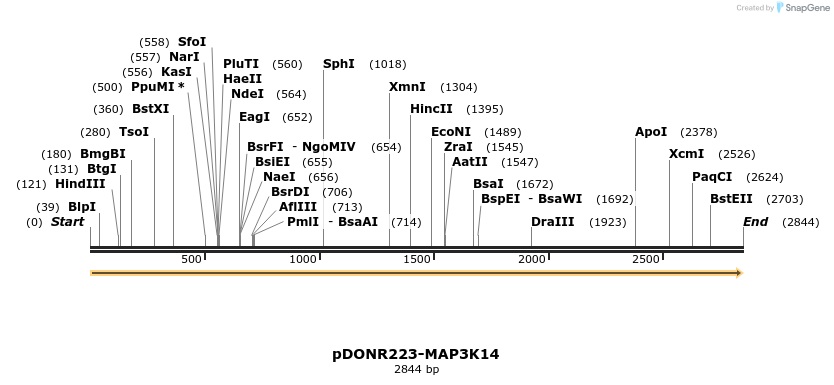 10917_map