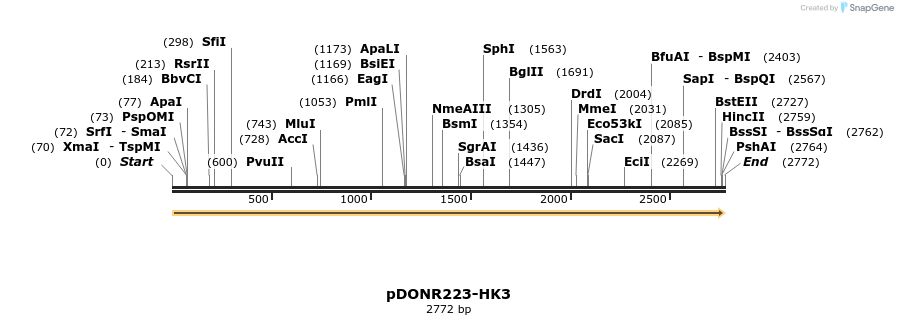 10918_map