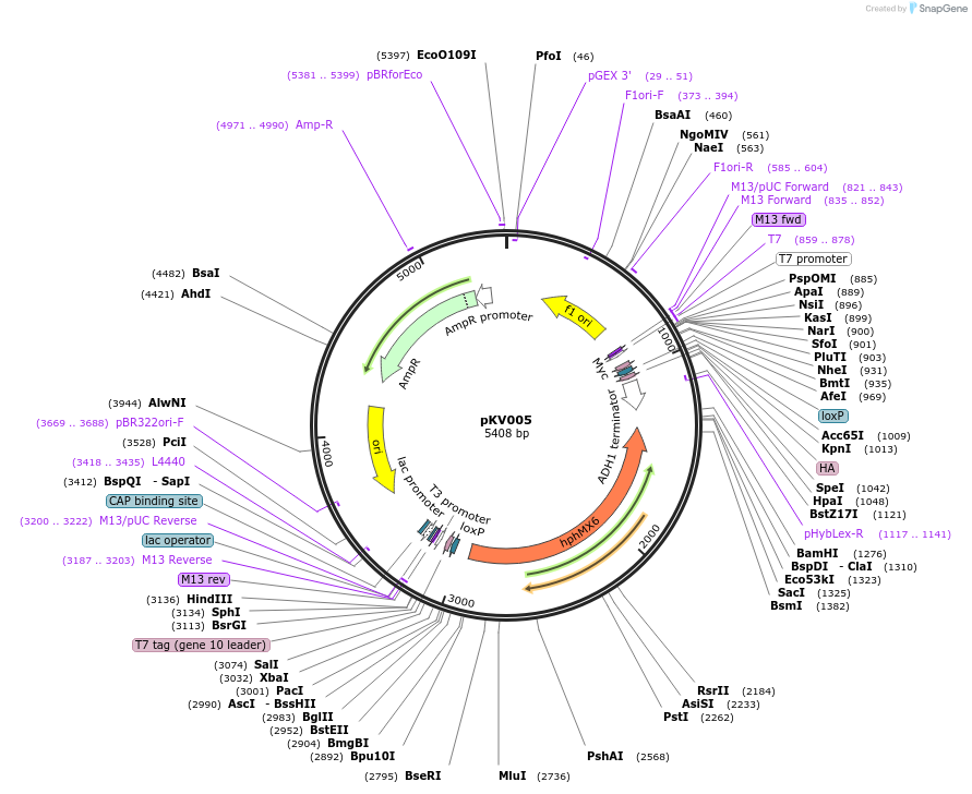 109180_map