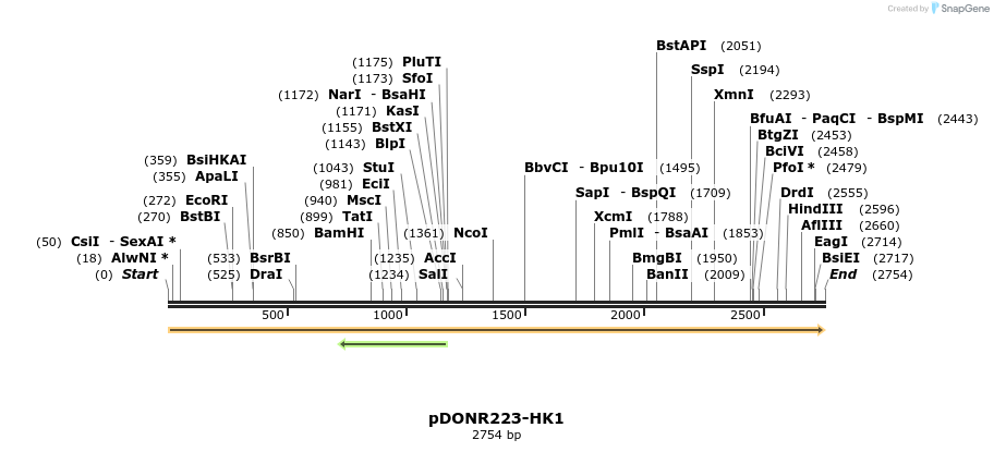 10919_map