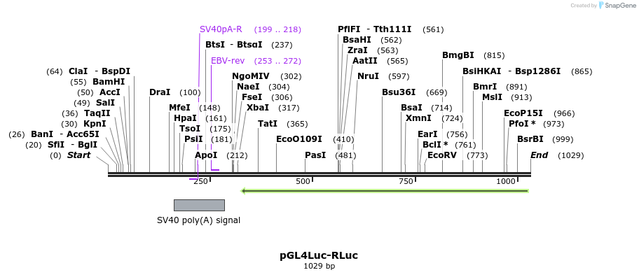 109217_map