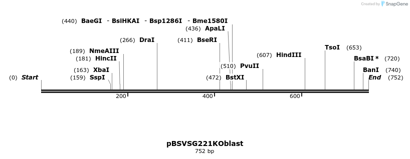 109218_map