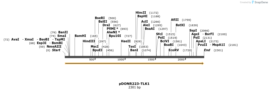 10922_map