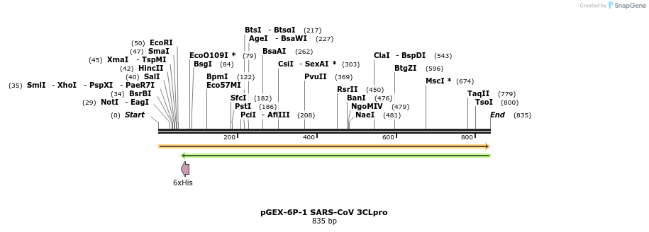 109230_map