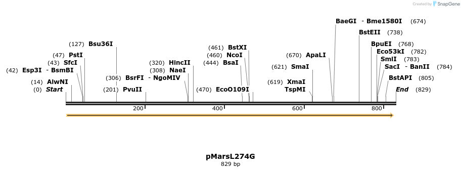 109239_map