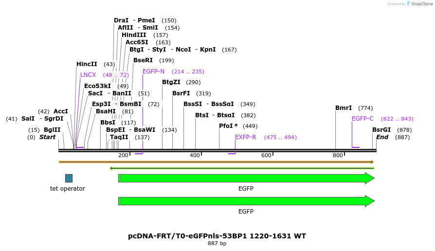 109240_map