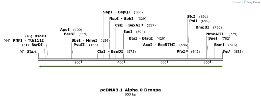 109248_map