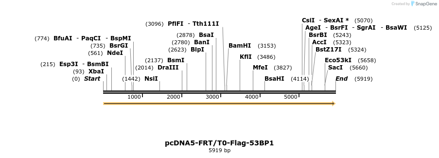 109255_map
