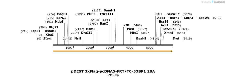 109261_map