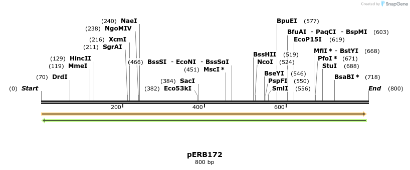 109266_map