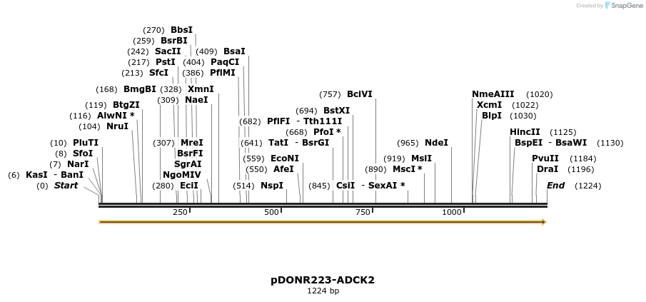 10927_map