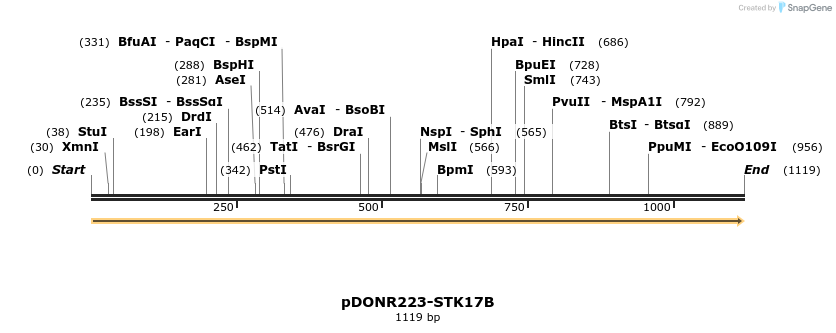 10928_map