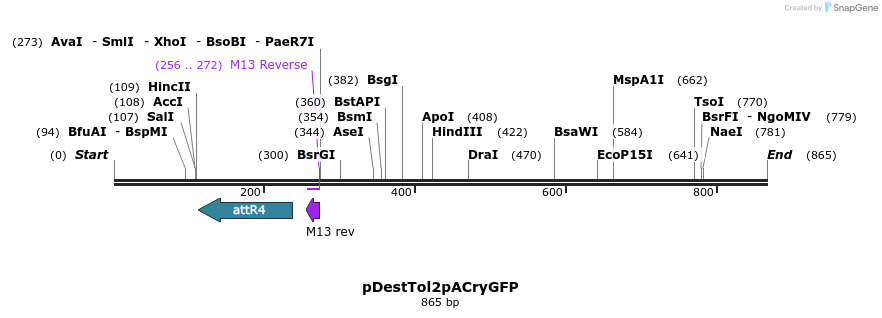 109285_map
