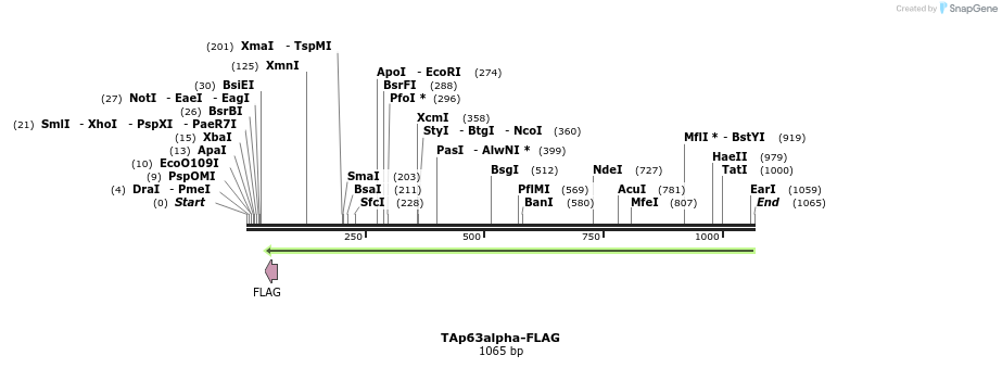 109289_map