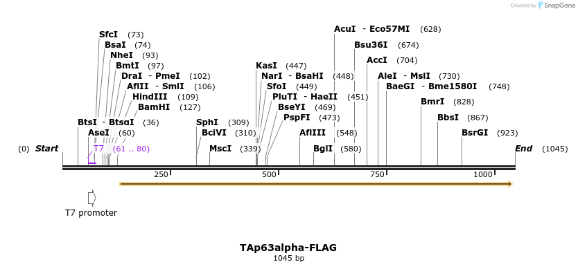 109290_map