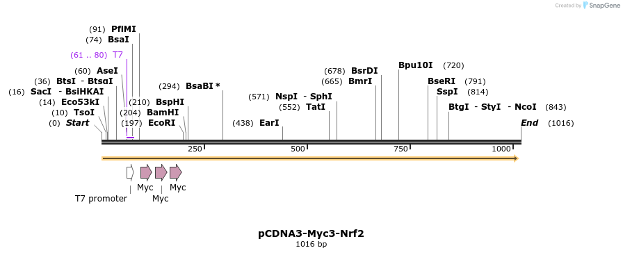 109293_map
