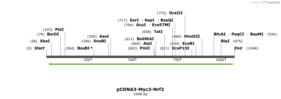 109297_map