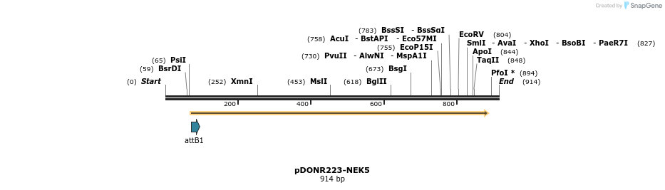 10930_map
