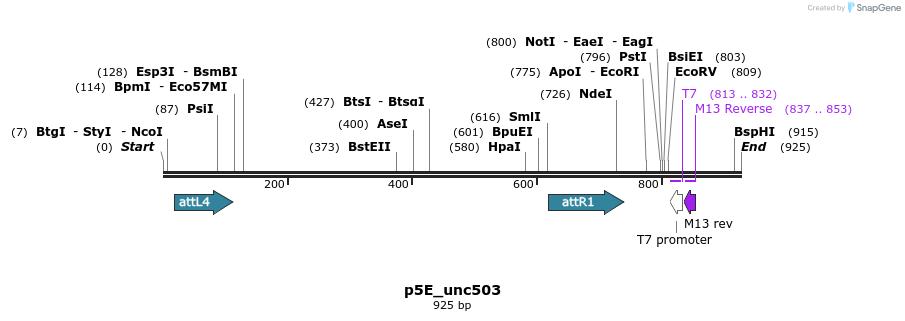 109301_map