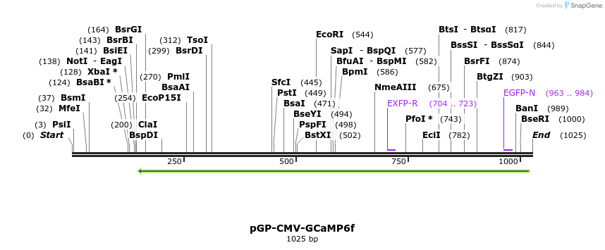 109306_map
