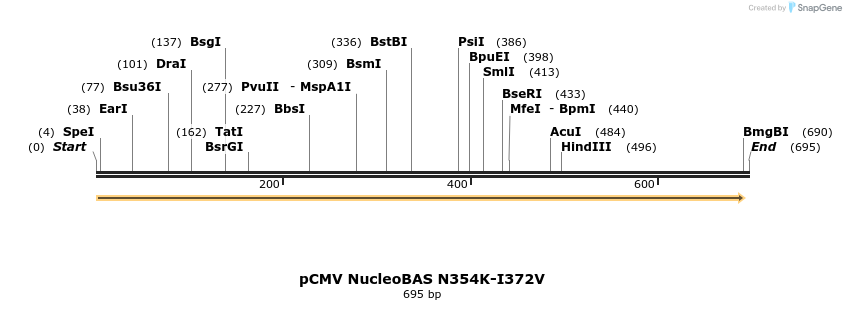 109307_map